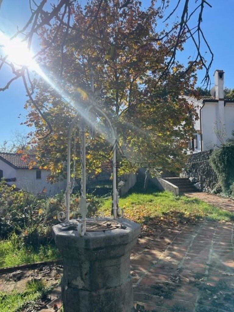 Image 13