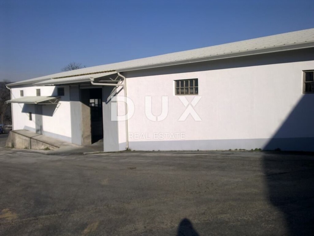 Image 15