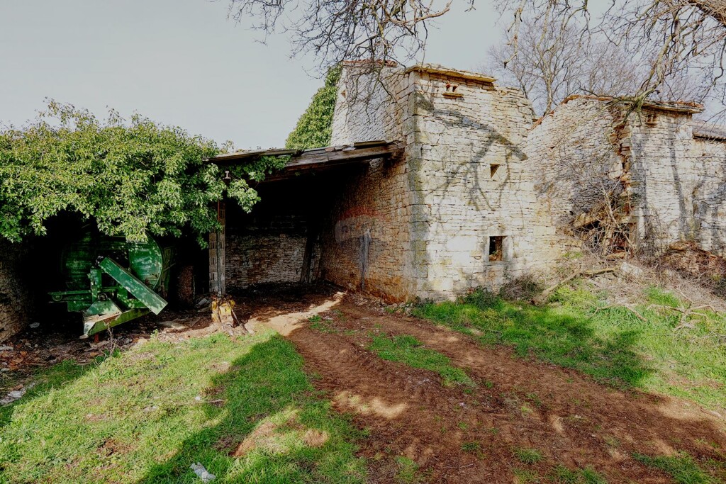Image 8