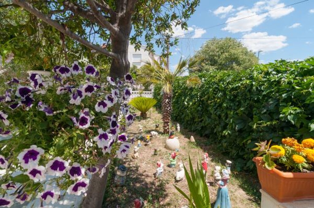 Image 3811881 - 14