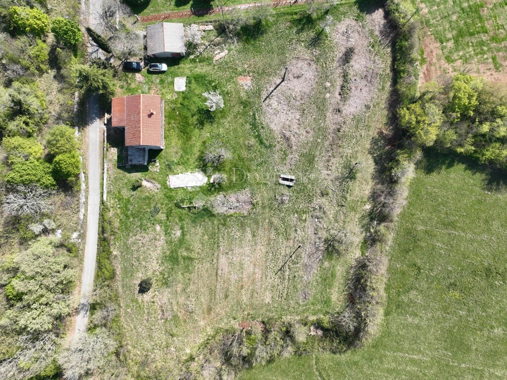 Image 21
