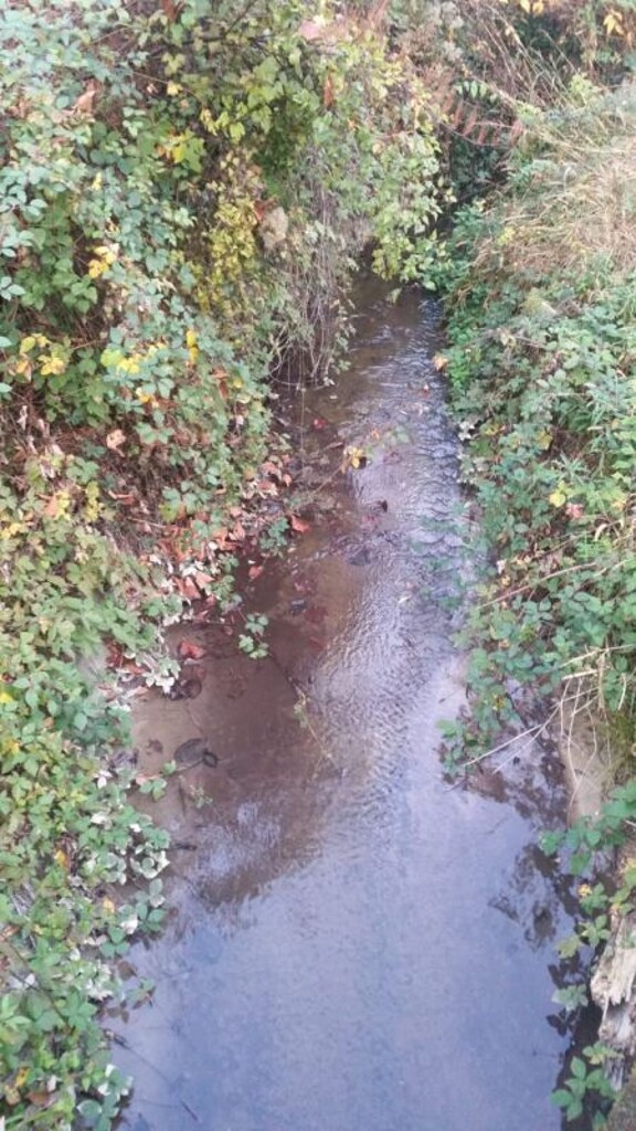 Image 8