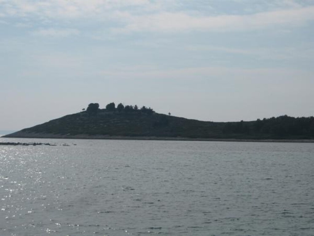 Image 3812193 - 10