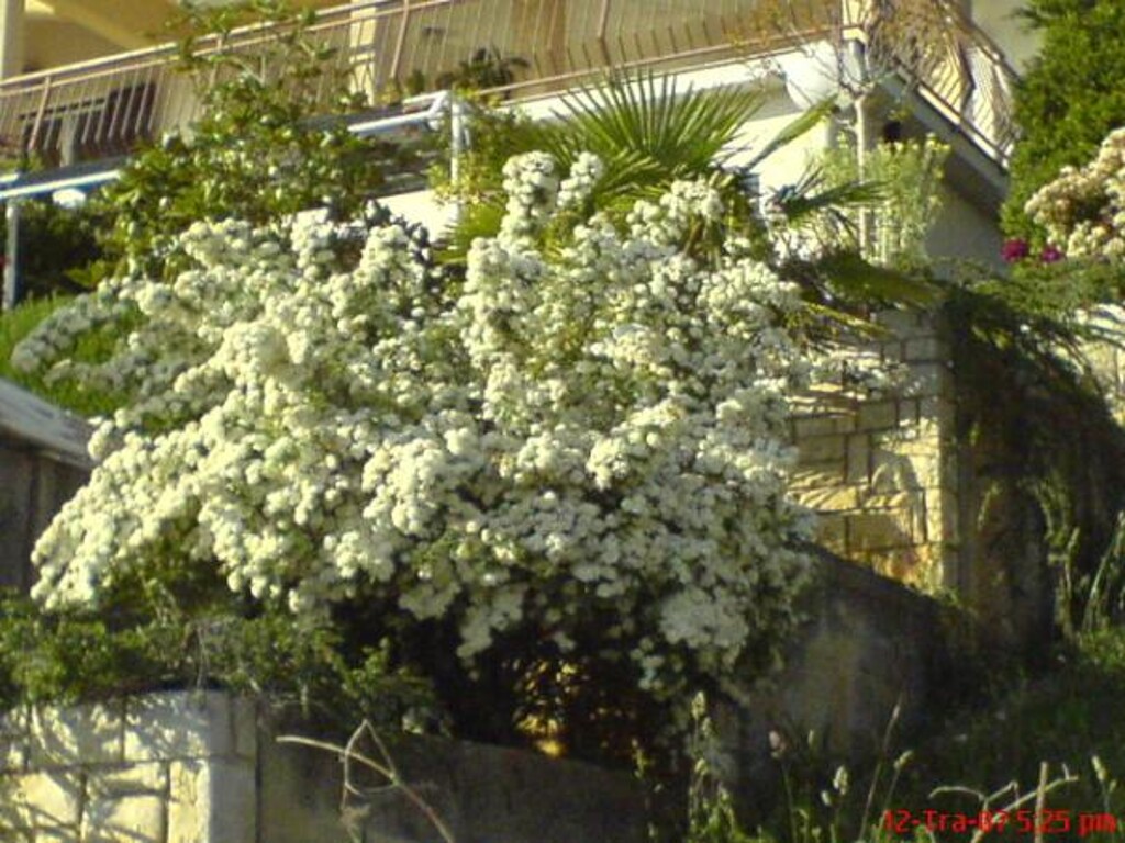 Image 3838544 - 7