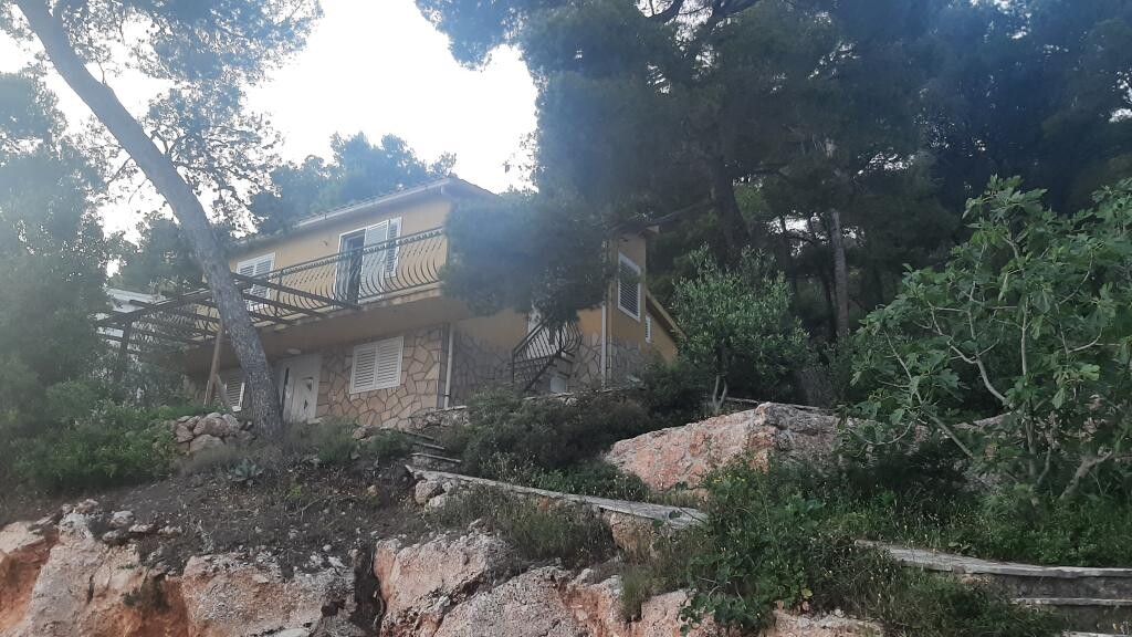 Image 10