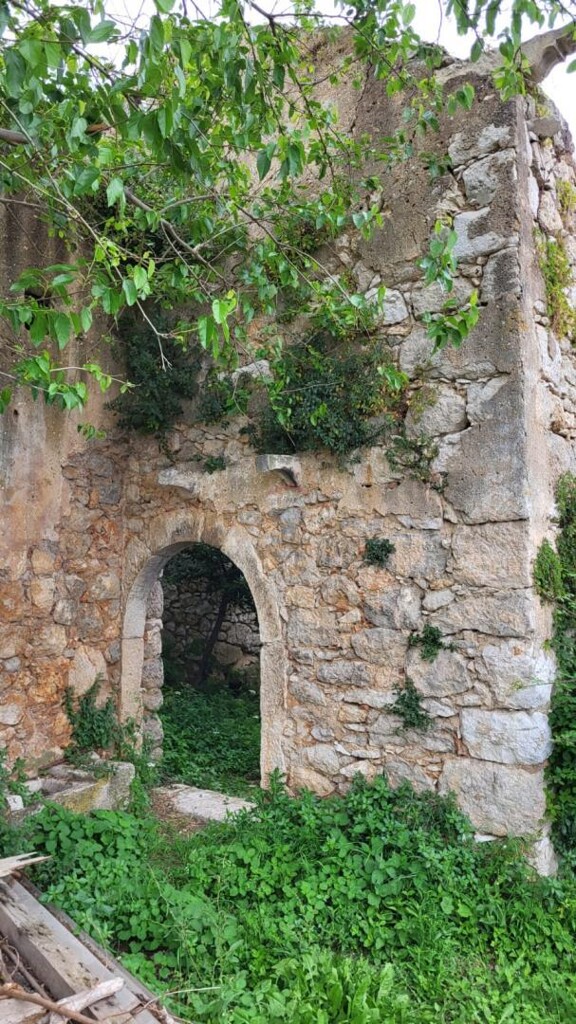 Image 6