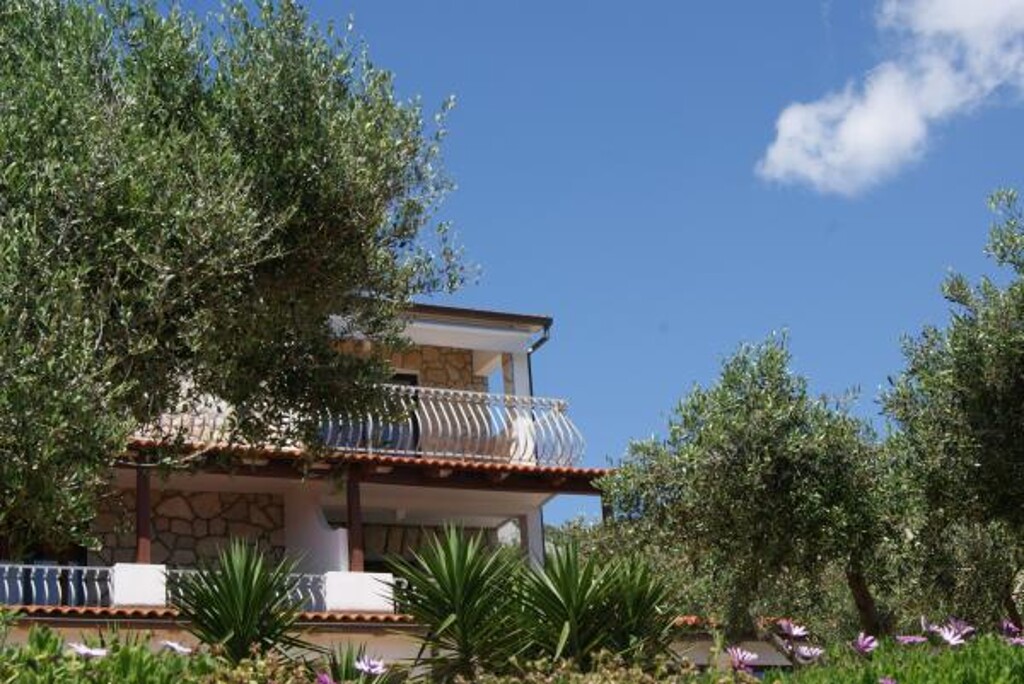 Image 3811829 - 6