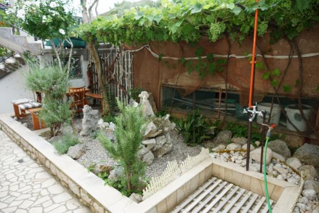 Image 3811179 - 12