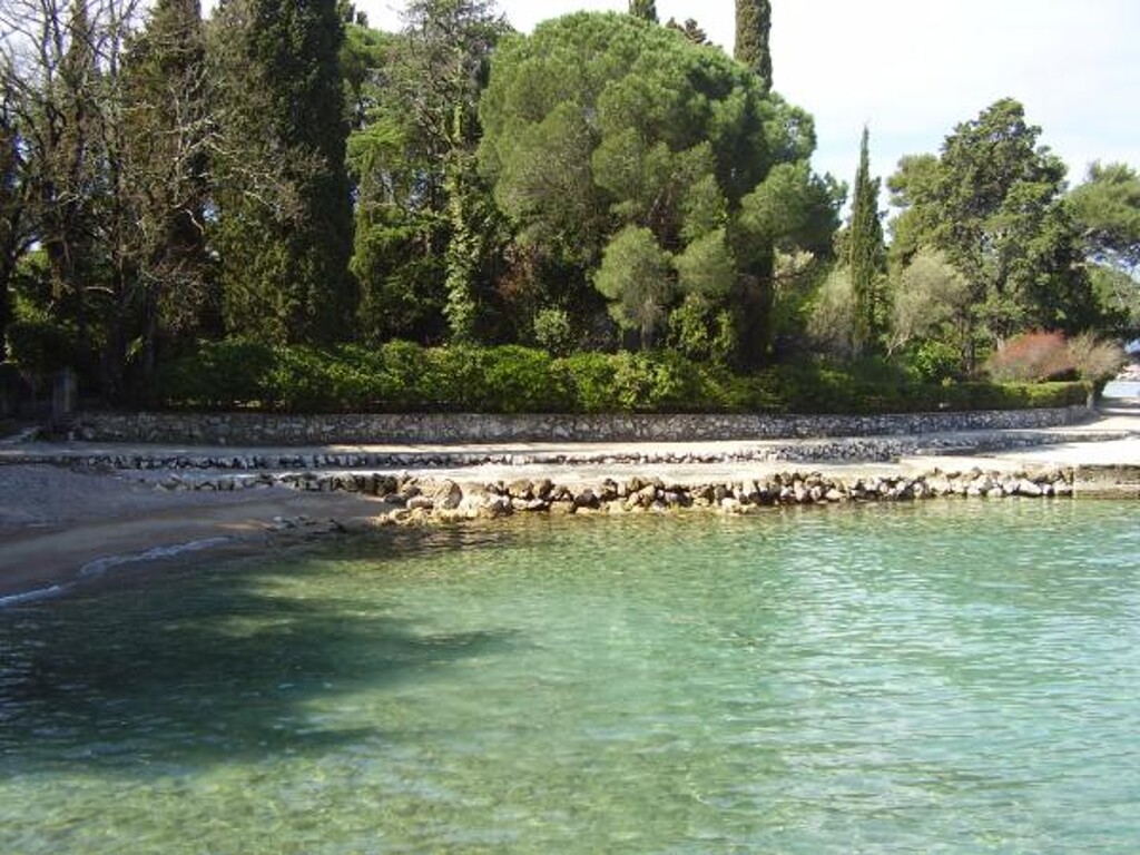 Image 3811353 - 15