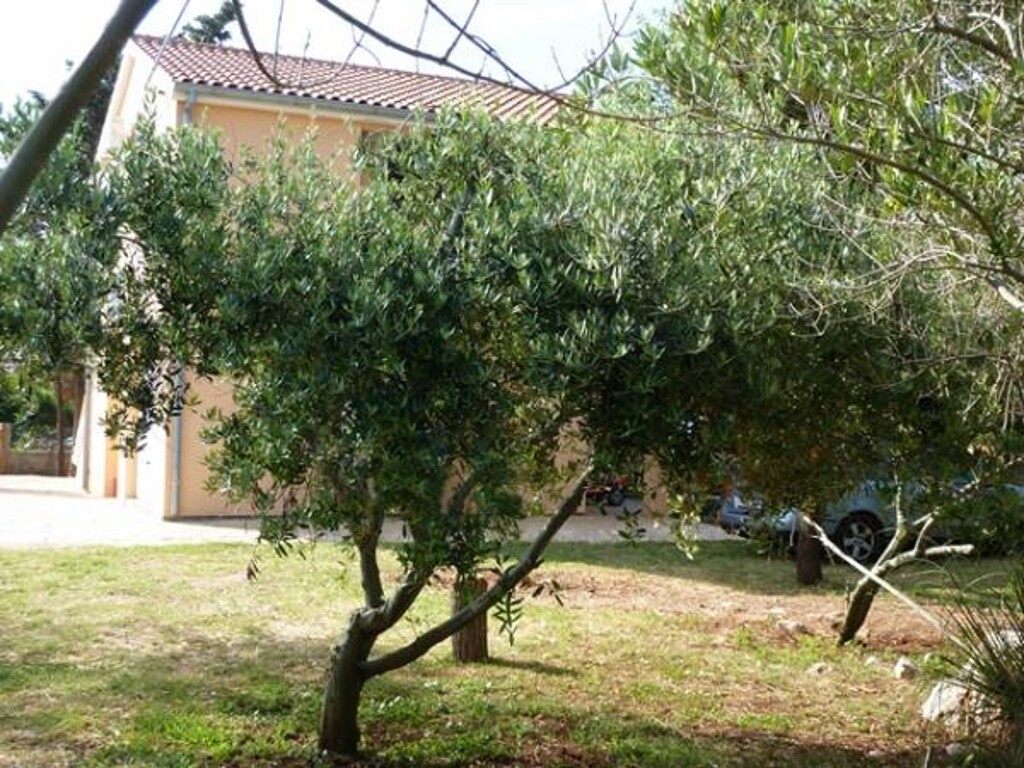 Image 3812392 - 4