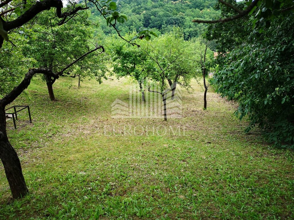 Image 9