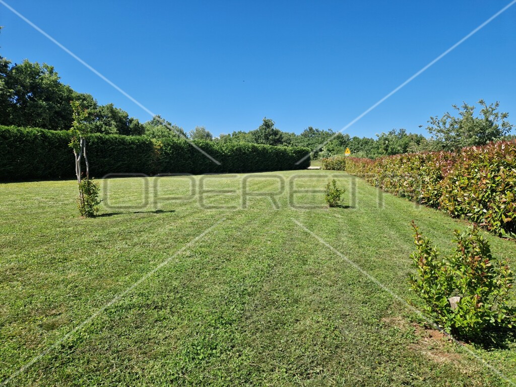 Image 6159109 - 21