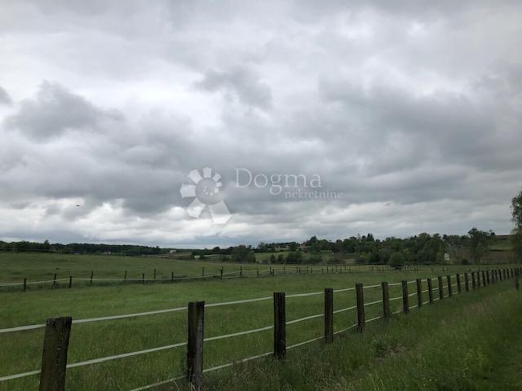 Image 19