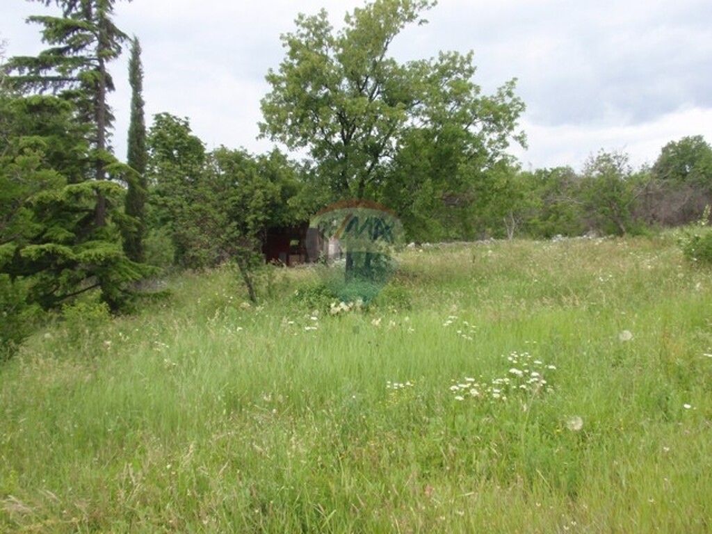 Image 5411112 - 4