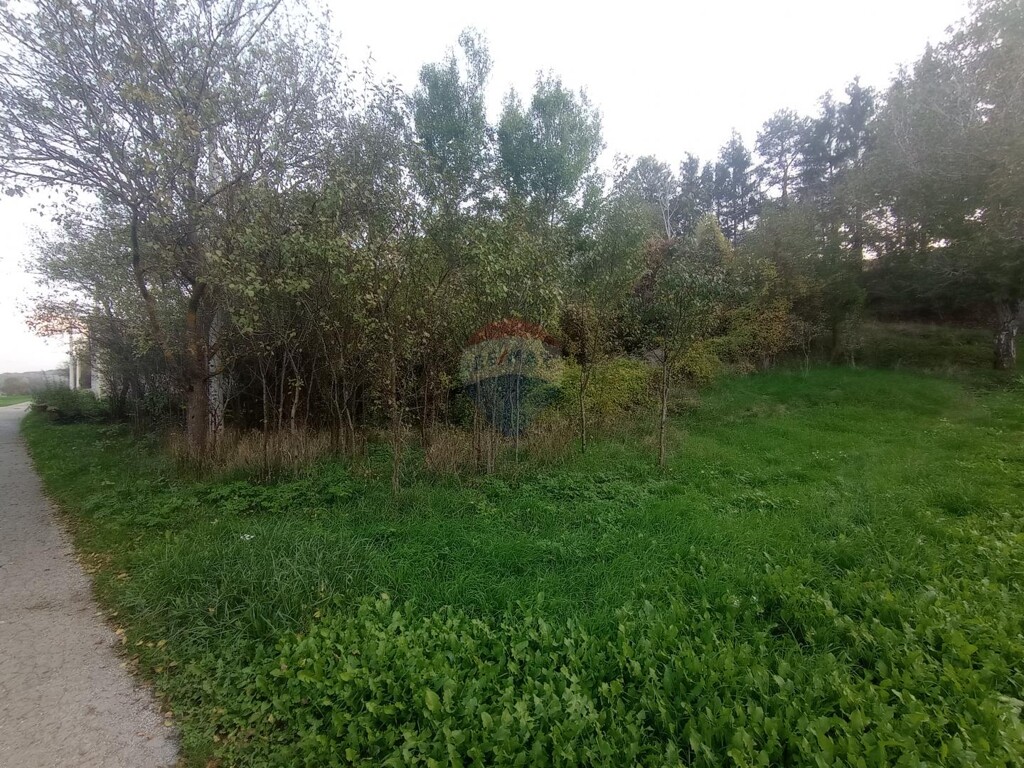 Image 5487649 - 7