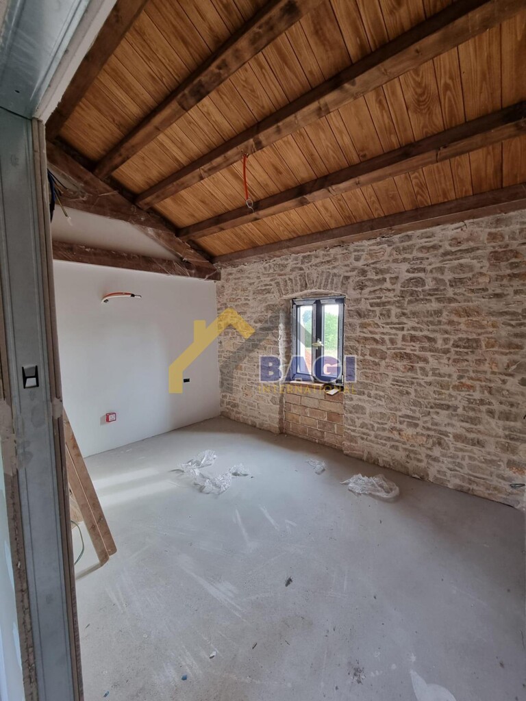 Image 13