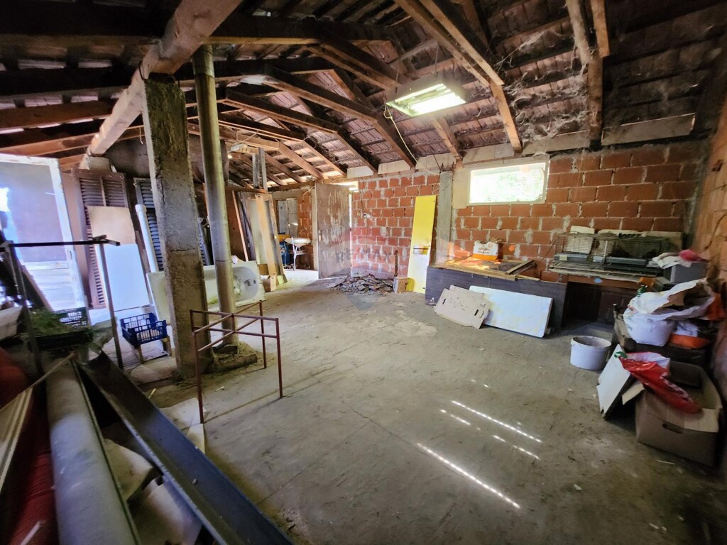 Image 20