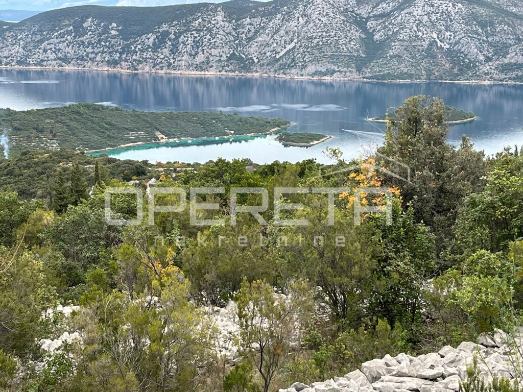 Image 9