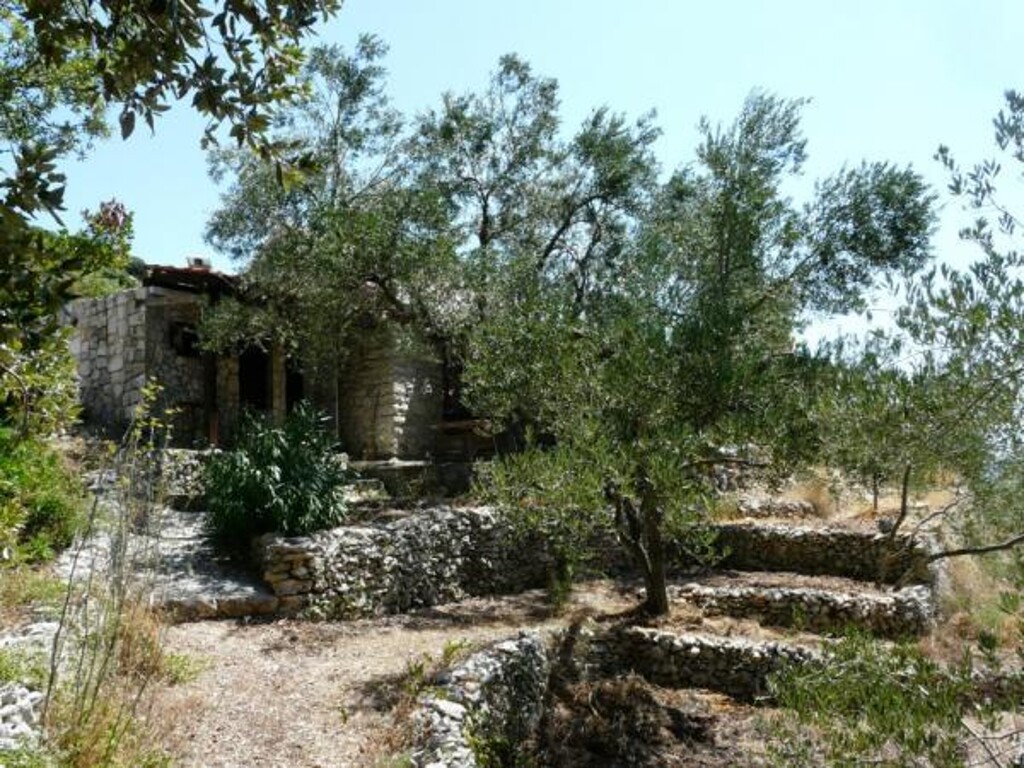 Image 13