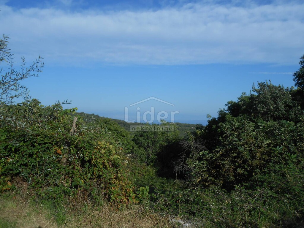 Image 21