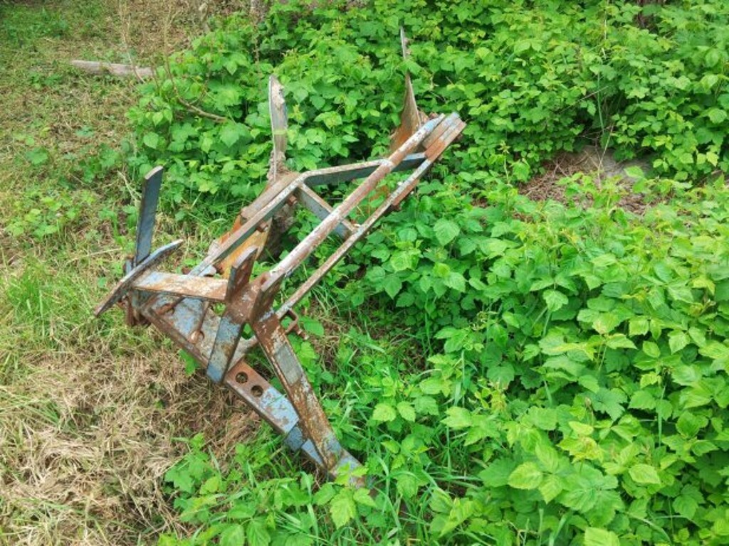 Image 8