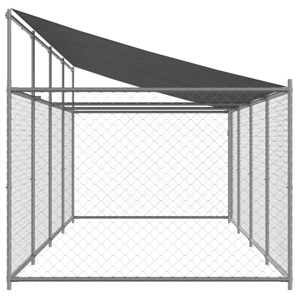Image 4