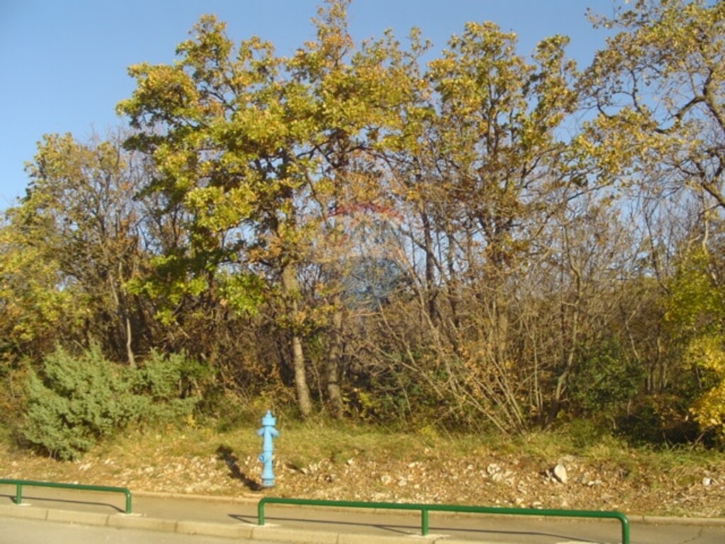Image 5411115 - 1