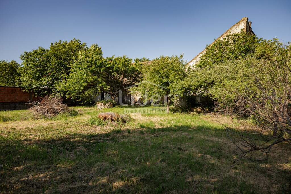 Image 20