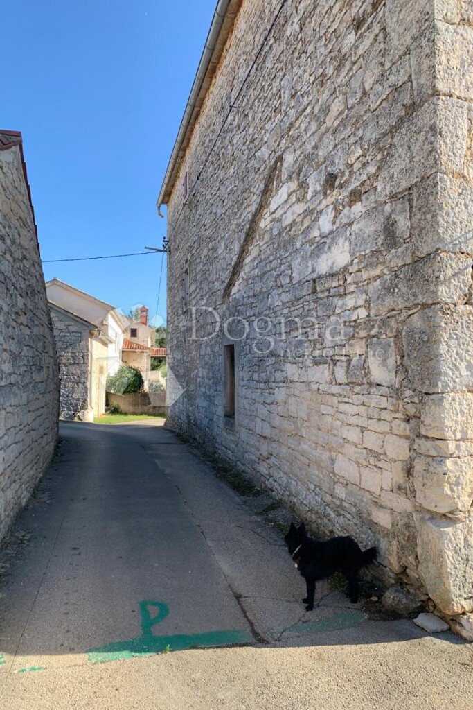 Image 8