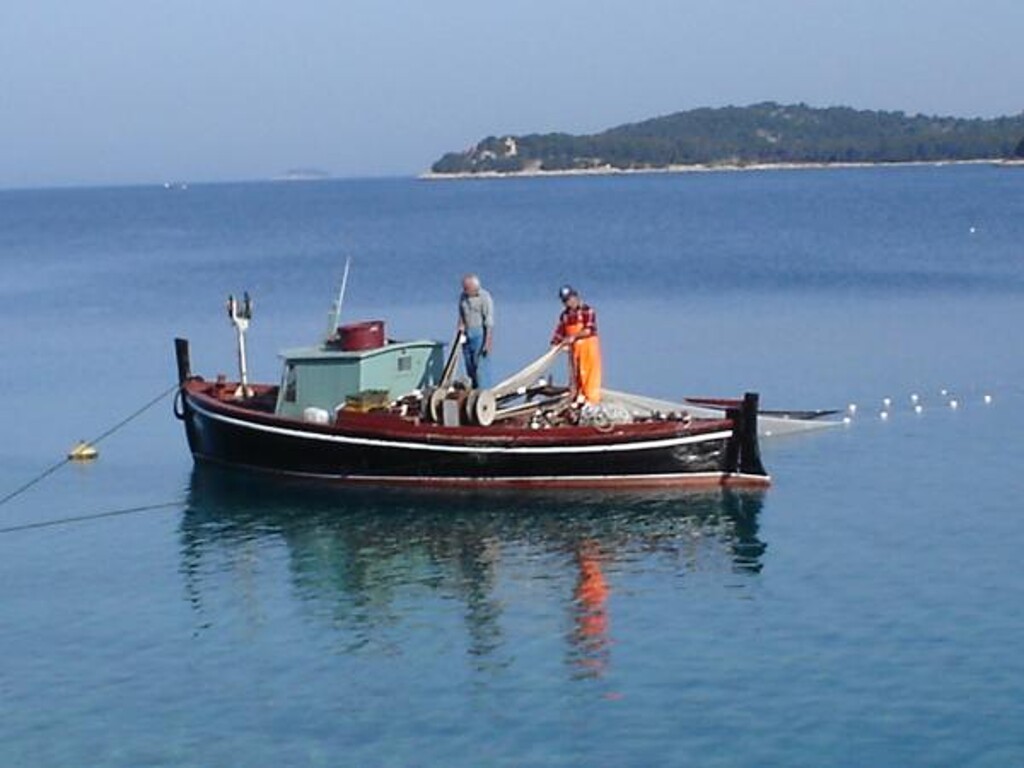 Image 3812005 - 12