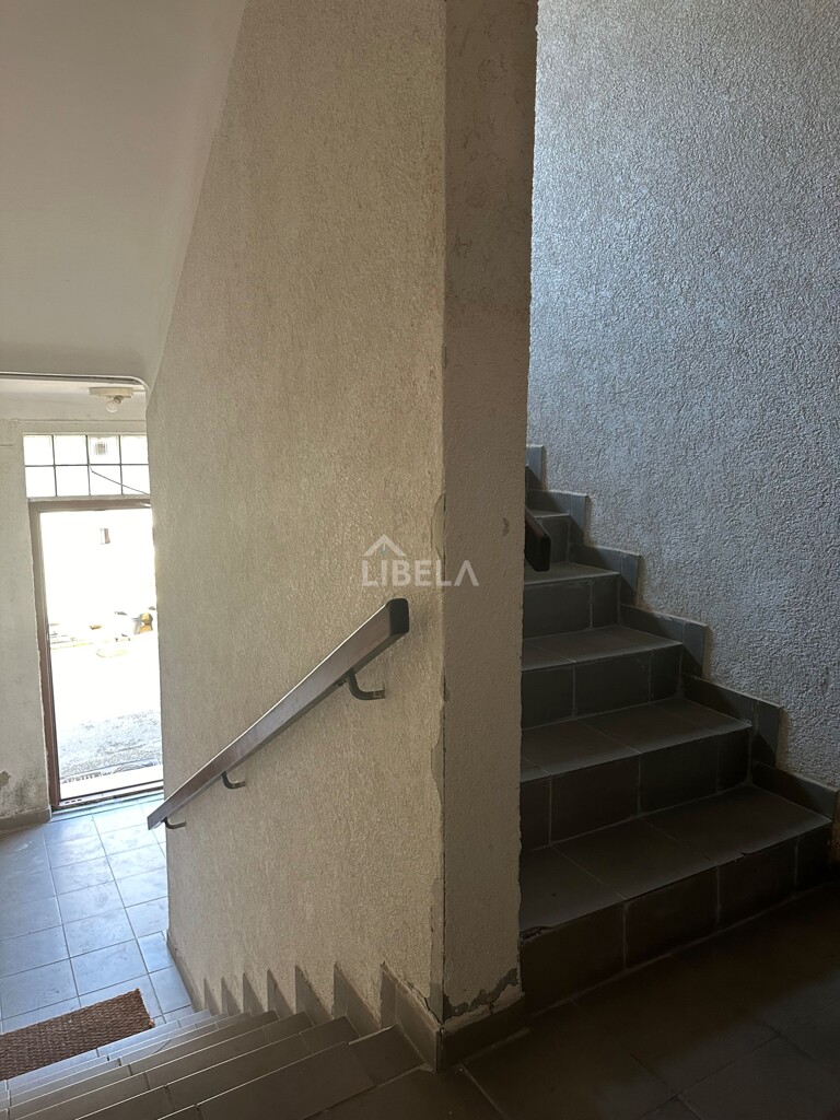 Image 19