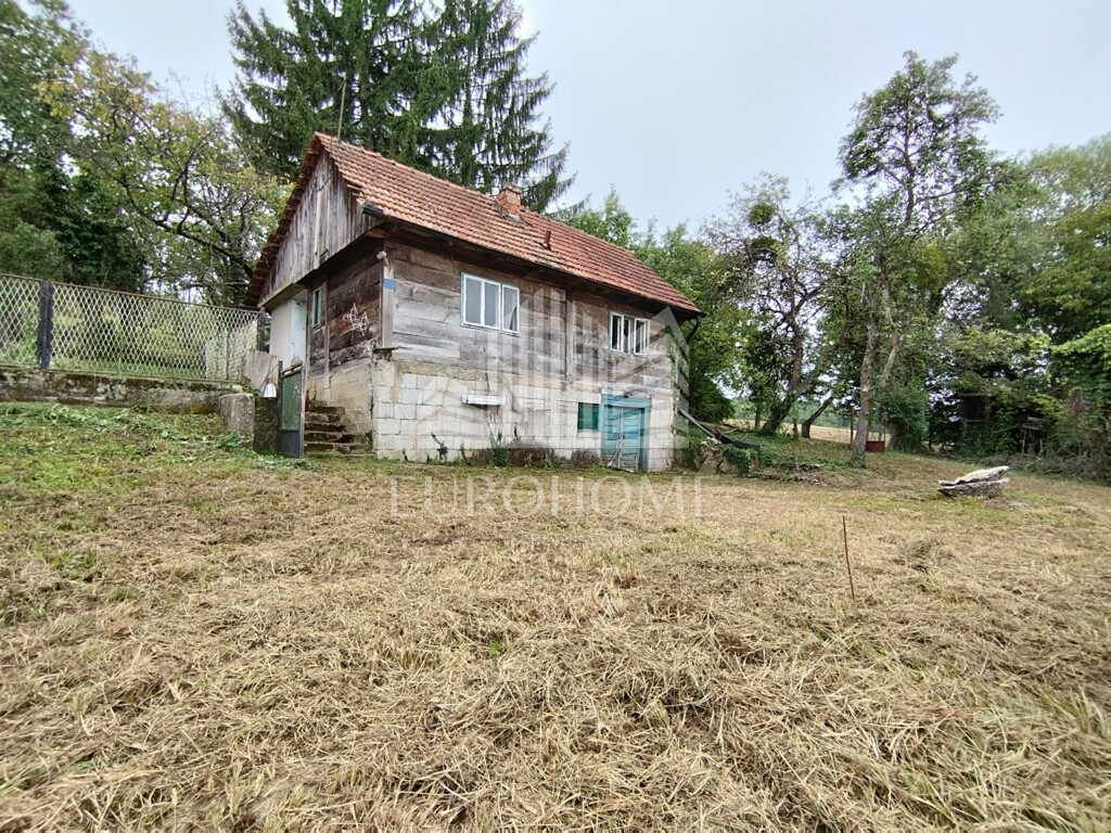 Image 14