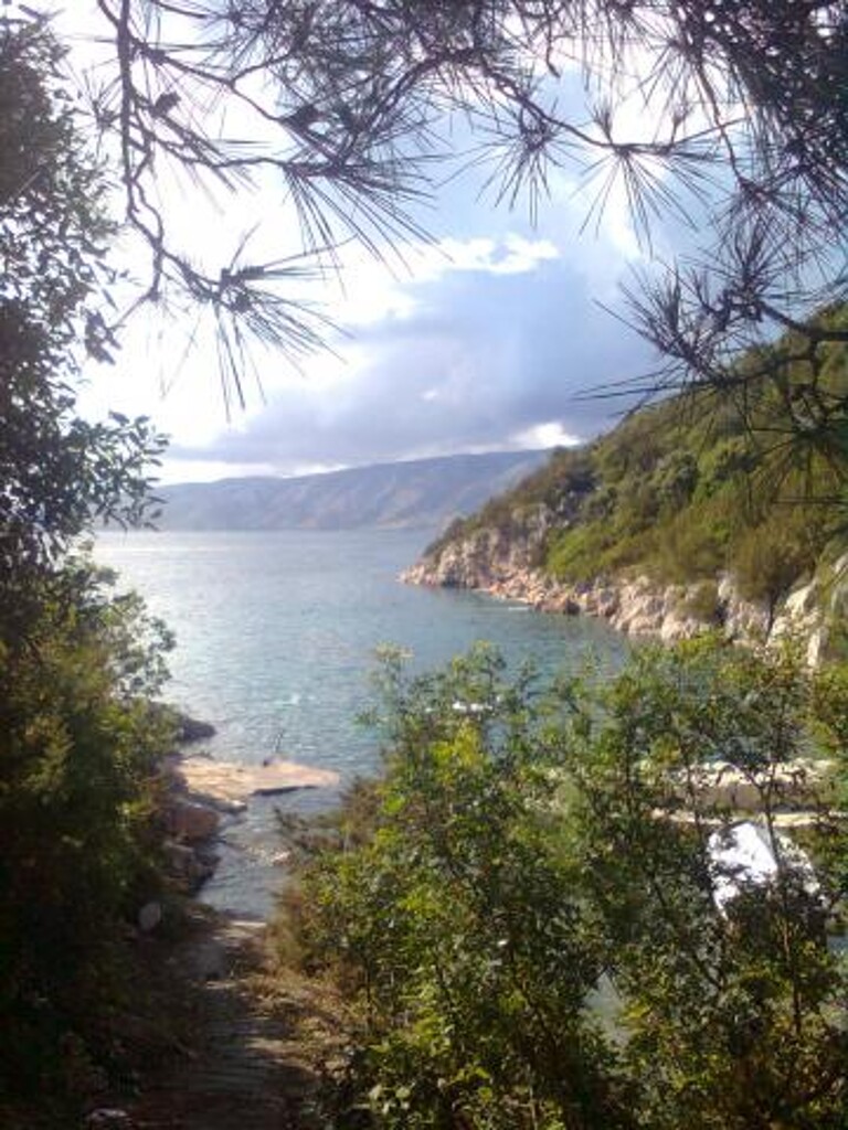 Image 3832361 - 9