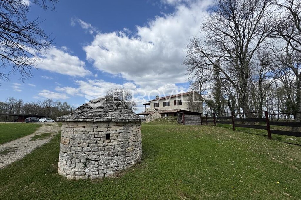 Image 13