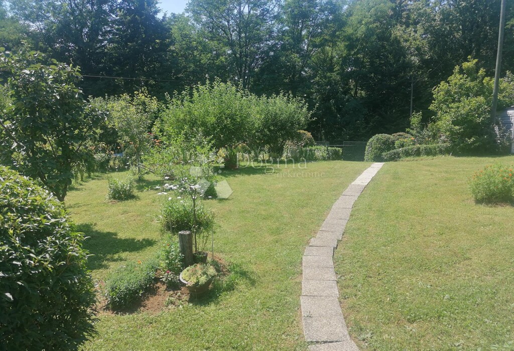 Image 15