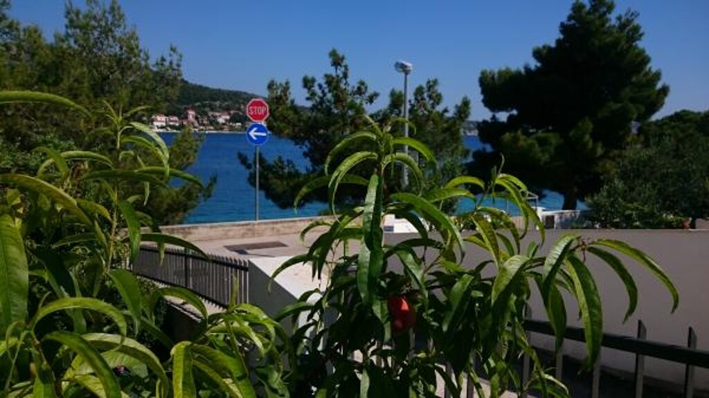Image 3814813 - 8
