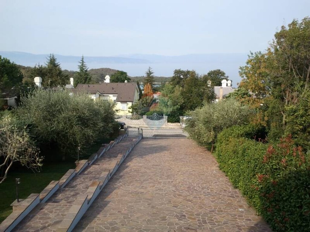 Image 5411258 - 16