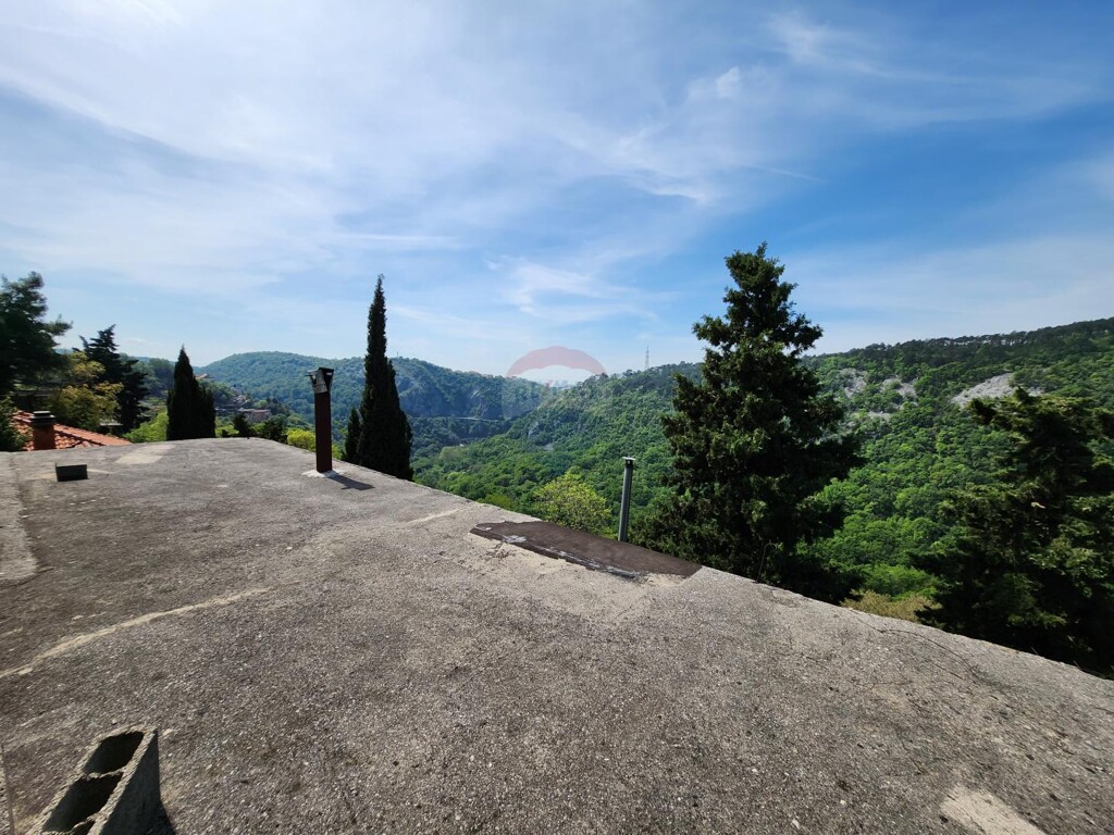 Image 21
