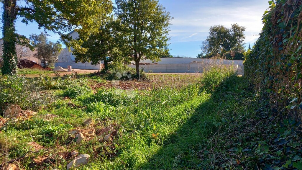 Image 14