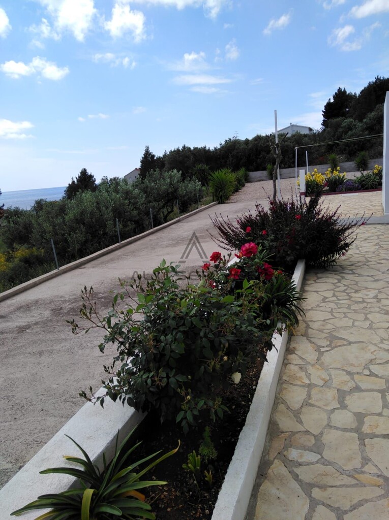 Image 13