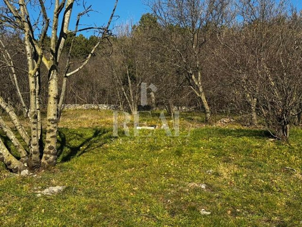 Image 6201887 - 5