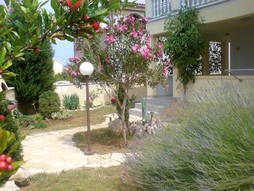 Image 3812305 - 4