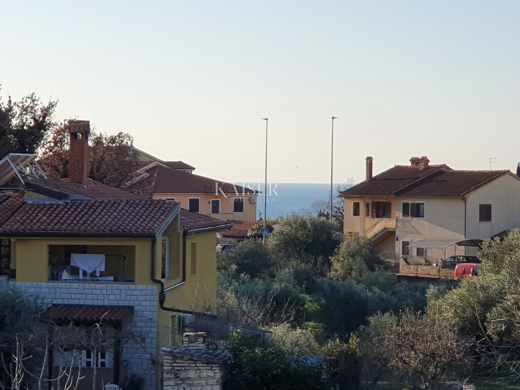 Image 13