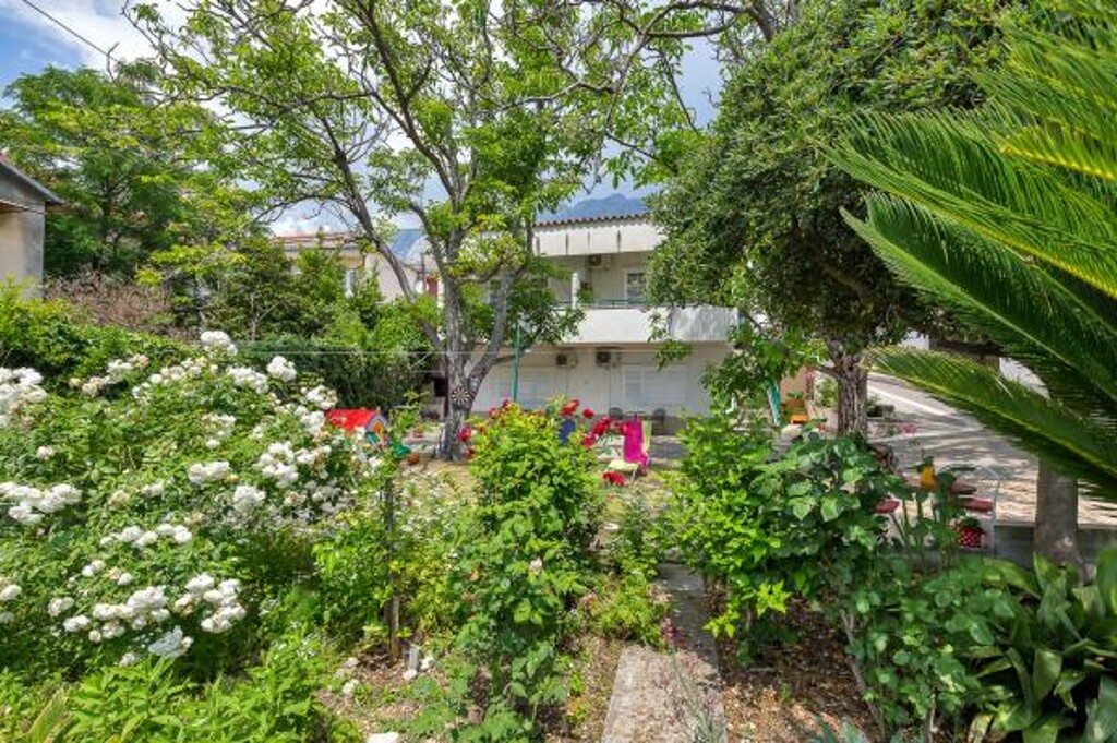 Image 3811815 - 1