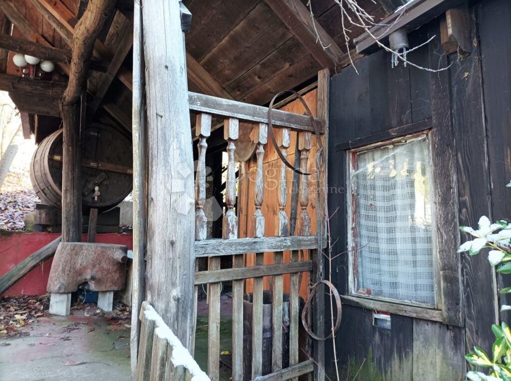 Image 11