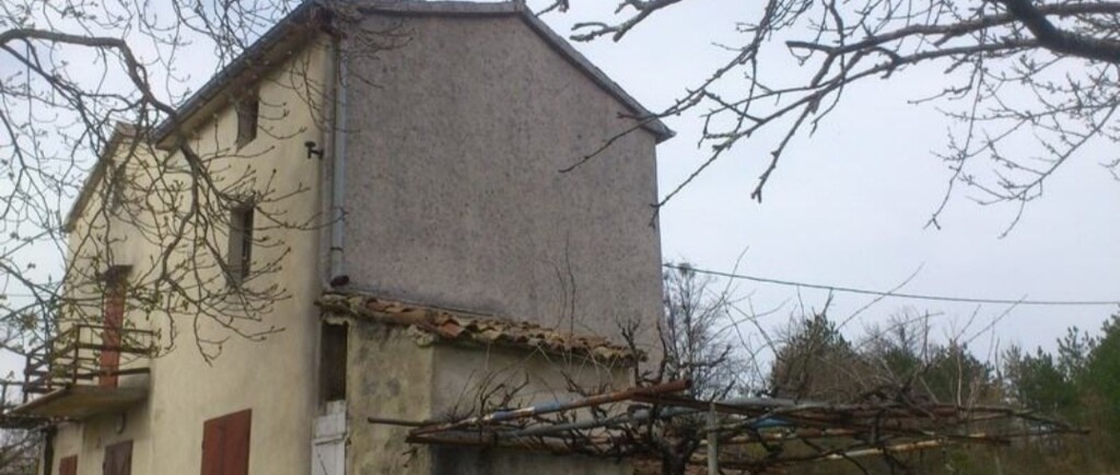 Image 19