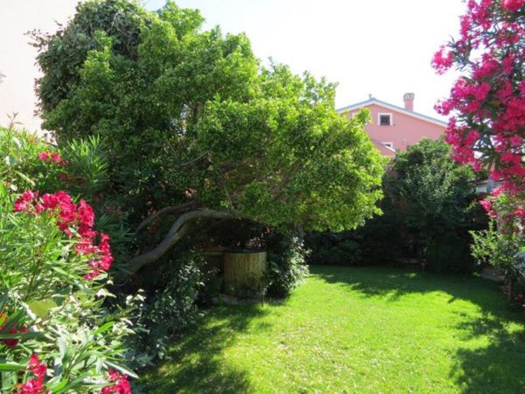 Image 3838782 - 1