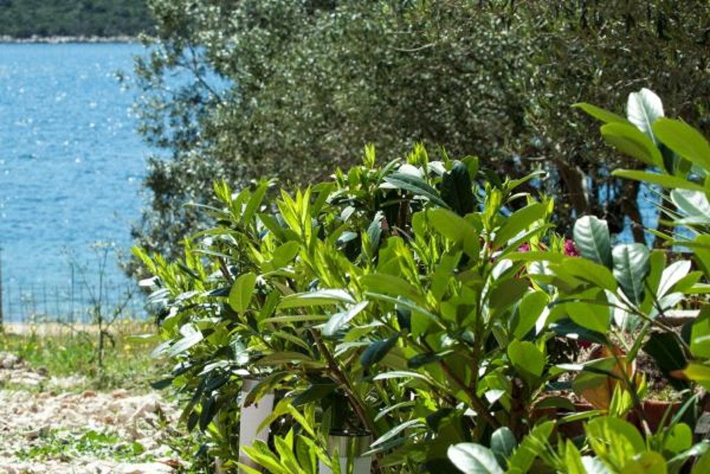 Image 3810528 - 4