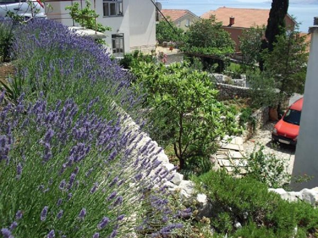 Image 3810867 - 7