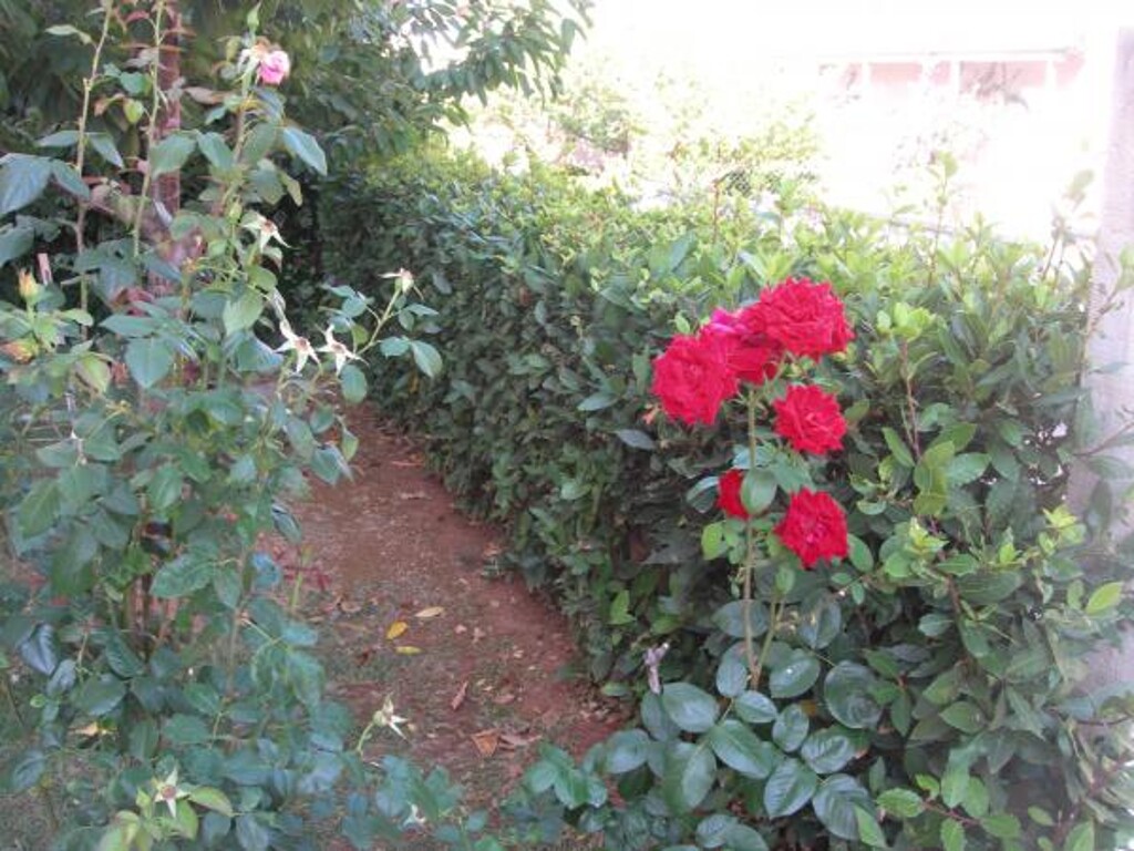 Image 3813917 - 2